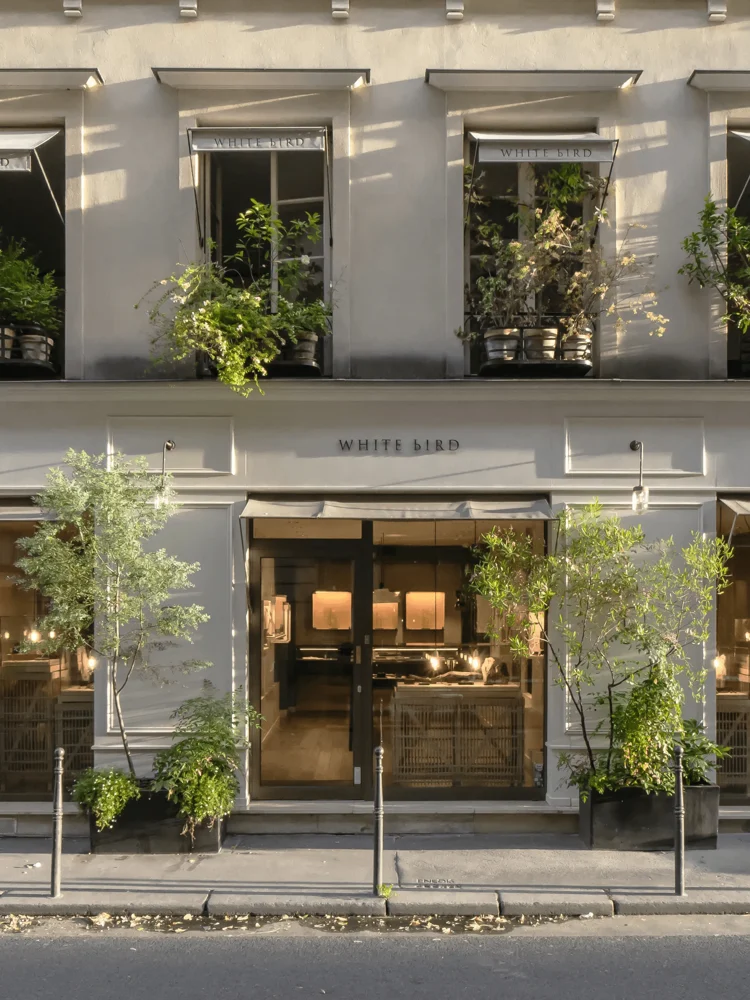 Projet WHITEbIRD par Expertify
